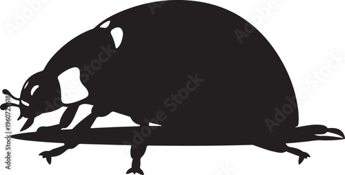 Black beetle silhouette, insect icon, bug vector, wildlife symbol