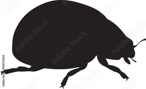Black beetle silhouette, insect icon, bug vector, pest symbol