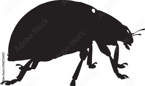 Black beetle silhouette, insect icon, bug vector, pest symbol