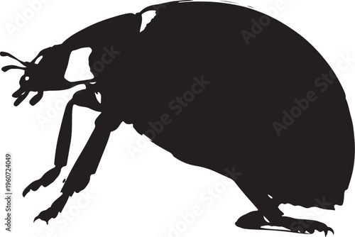 Black beetle silhouette, insect icon, bug vector, pest symbol