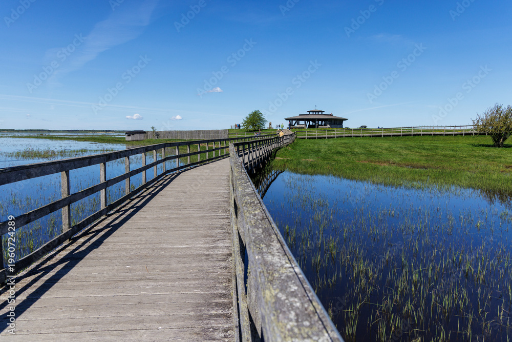 Fototapeta premium Naturum am Hornborgasee, Schweden