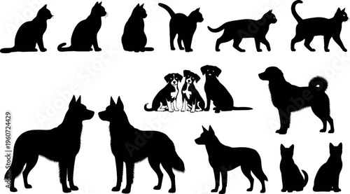 Cat and dog silhouettes vector illustration showing sitting, walking, standing poses, pet comparison, domestic animals, design reference, artwork