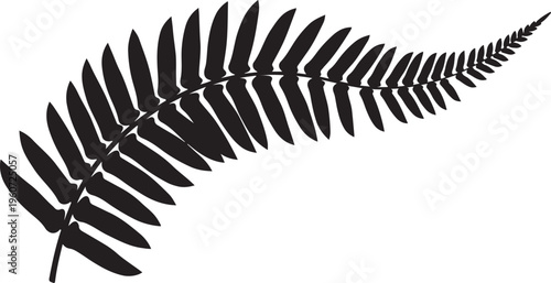 Black fern leaf, fern silhouette, leafy foliage, botanical icon, vector graphic
