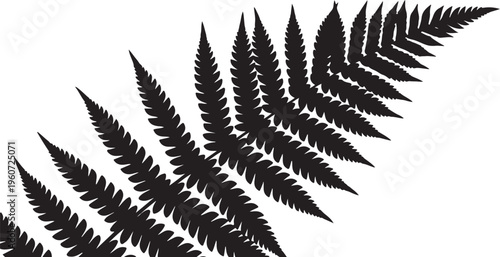 Black fern leaf, fern silhouette, leafy foliage, botanical icon, vector graphic