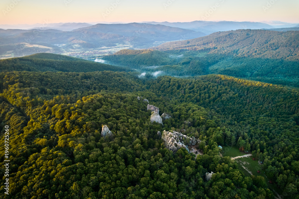 Naklejka premium Beautiful panorama of alpine forest with green foliage, rocks and mountain slopes. Dovbush Rocks, Carpathian mountains, Ukraine.