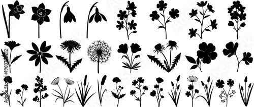 Flower and plant silhouettes vector illustration showing diverse floral forms, petals, stems, leaves, botanical design, artistic reference, nature artwork