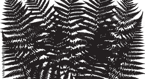 Black fern leaf, fern silhouette, leafy foliage, botanical icon, vector graphic