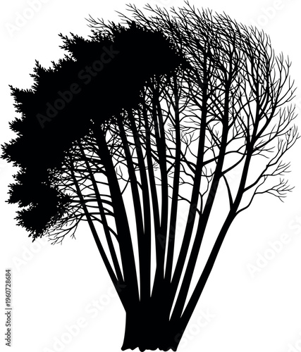 Black silhouette of a surreal tree with branches