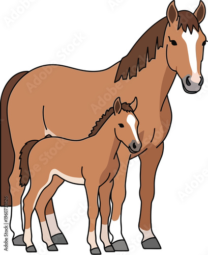 A brown mother horse and her foal standing