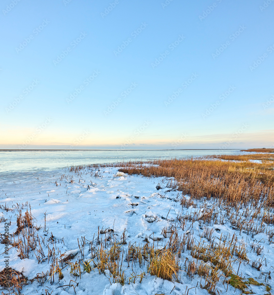 Fototapeta premium Landscape, grassland and beach with snow in nature for climate change, winter season and morning frost. Space, blue sky and seaside with ice formation, snowfall and icy conditions from global warning