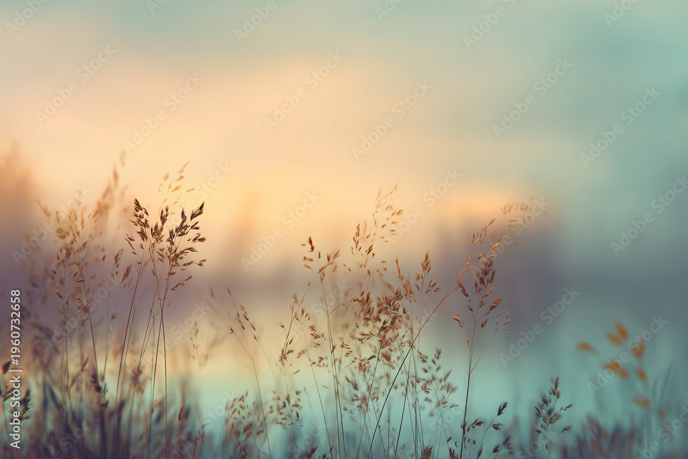 Obraz premium Sunset over tall grass with soft pastel colors