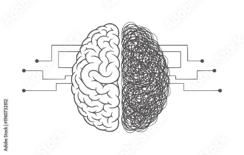 Half Brain Structured Half Brain Chaotic with Circuit Connections mind chaos order