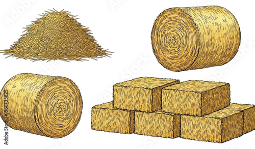 Modern minimalist continuous line vector portrait of a woman with closed eyes and bun hairstyle for beauty and design