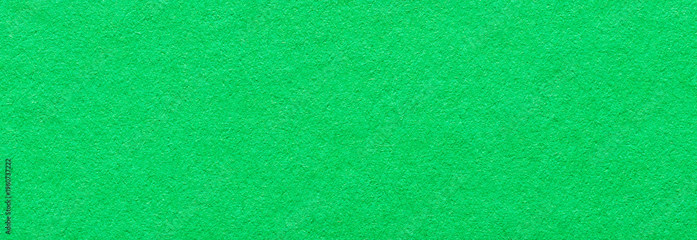 Fototapeta premium Green paper background or backdrop with fine details and smooth texture with copy space for text design element