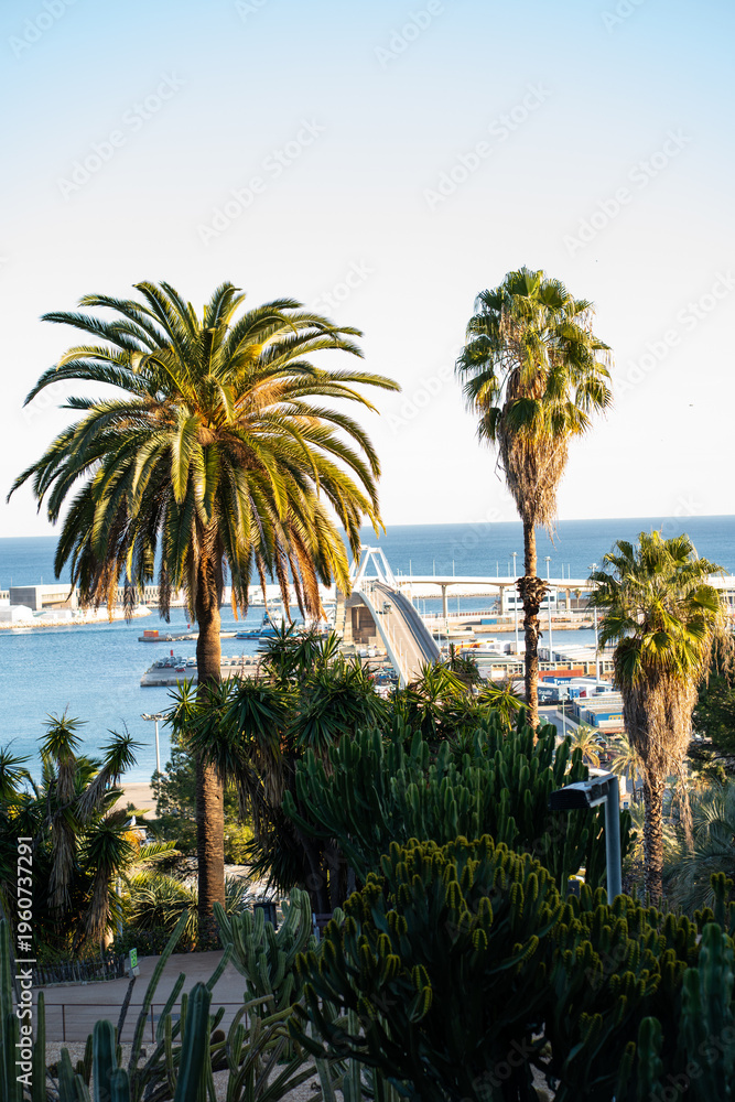 Fototapeta premium Barcelona tropical scene with vibrant cactus garden and palm trees framing the Port of Barcelona, modern pedestrian bridge, ships and the tranquil Mediterranean horizon