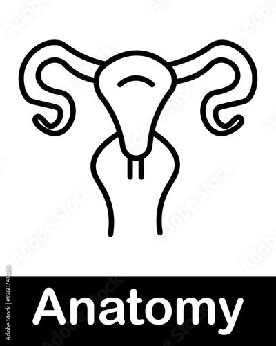 Female Reproductive System Anatomy Line Icon Uterus Ovaries and Fallopian Tubes Medical Vector Illustration