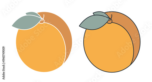 Linear icon. Juicy ripe apricot. Simple colored vector symbol isolated on white background