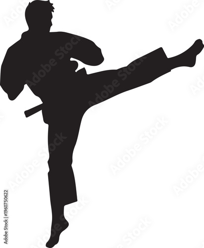 Martial arts silhouette, karate kick vector, black uniform icon, fighting stance illustration
