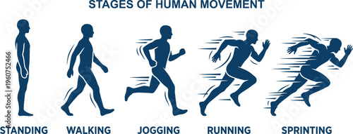 A visual infographic showing the progression of five distinct stages of human physical movement