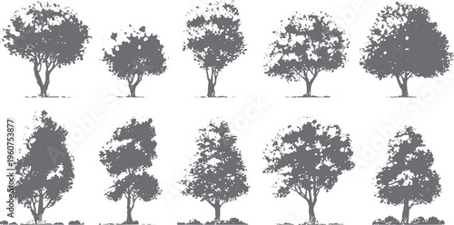 Collection of ten diverse grey silhouette trees with textured foliage and visible trunks on a white background