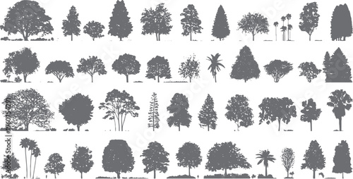 Collection of diverse grey tree silhouettes various shapes and sizes on white background nature plant