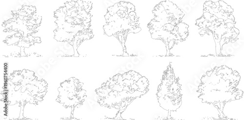 Ten hand drawn line of various trees with detailed foliage and trunks on a white background outline nature