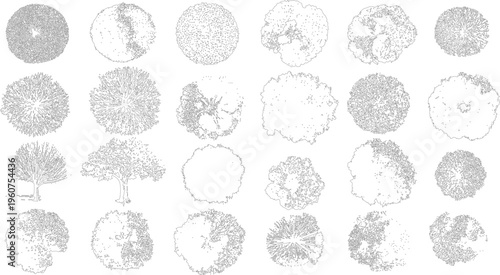 Collection of black and white line of various trees viewed from above and side profiles plant plants