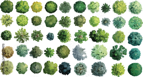 Collection of diverse green and yellow trees viewed from above in a down perspective