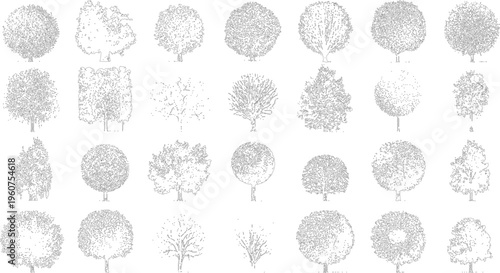 Collection of black and white line of various deciduous trees with detailed foliage and trunks