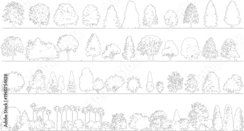 Collection of detailed black and white line of various deciduous and coniferous trees and palm trees