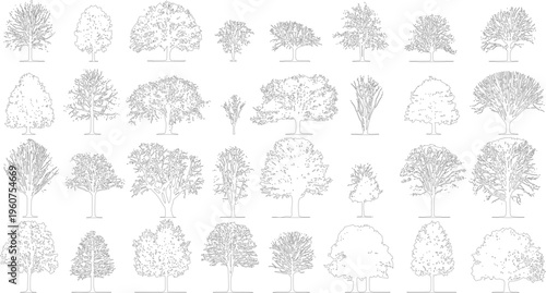 Collection of black and white line of various deciduous trees and shrubs plant plants nature