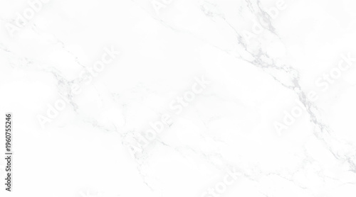 White marble texture with subtle grey veining and a bright clean surface background