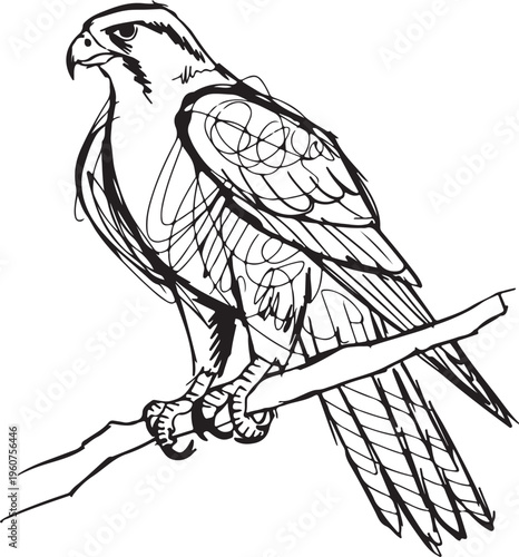 Dynamic sketch concept of a majestic falcon perched on a branch, illustrating the power and grace of this impressive bird of prey in a hand-drawn style