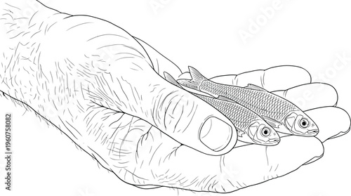 Hand Holding Two Small Fish Illustration