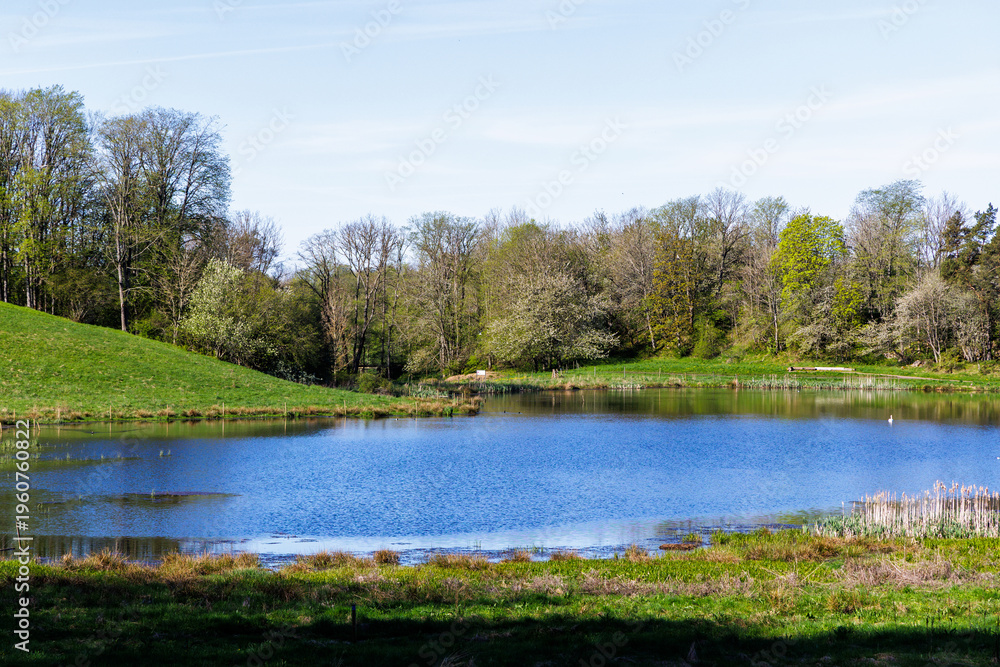 Obraz premium Klostersee, Klostersjön Varnhem, Schweden