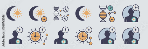 Circadian rhythm and body clock icons – Perfect for sleep science.