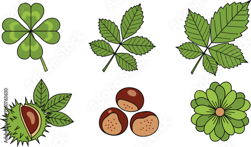 Photos Botanical Leaves and Chestnut Vector Set Featuring Clover Leaf Horse Chestnut Le