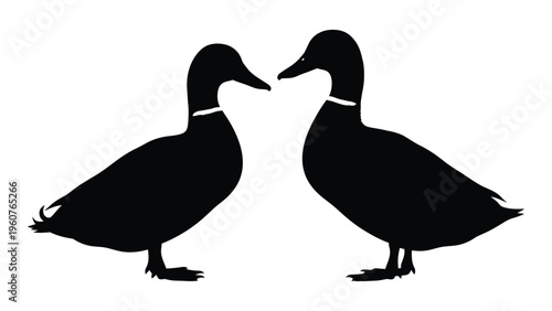 Two ducks facing each other in a simple black silhouette illustration