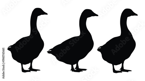 Three geese silhouettes are presented in a minimalist black and white composition
