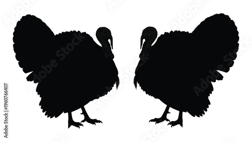 Two black silhouettes of turkeys facing each other detailed feathering visible