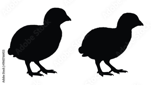 Silhouettes of two birds possibly quail or similar game birds in profile