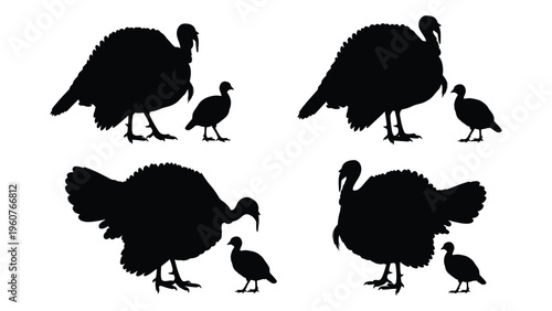 Black silhouettes of turkeys in various poses including adults and chicks