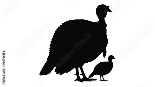 A black silhouette depicts a mature turkey and a smaller turkey poult
