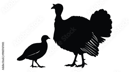 Silhouette depiction of a large turkey standing beside a smaller chick