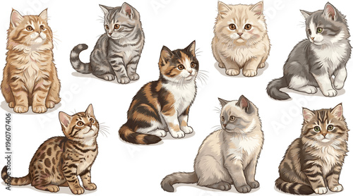 Collection of realistic flat vector kittens in various breeds including tabby, calico, and bengal for pet care, veterinary, and animal welfare designs.