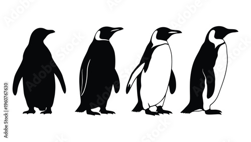 Four penguins in varying poses depicted as black and white silhouettes
