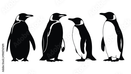 Four penguins in a stylized black and white illustration shown in various poses