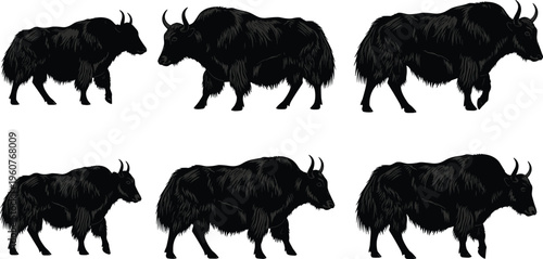 Black yak silhouette collection, high altitude mountain animal vector, tibetan bull group illustration, wild yak set for nature design, isolated.