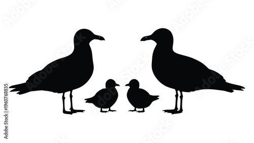 Silhouette of two adult seagulls and two chicks standing closely together