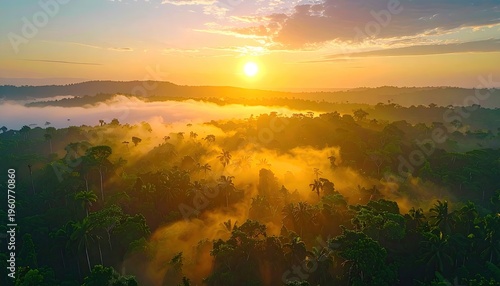 Aerial view of a lush green rainforest at sunrise, blanketed in soft mist